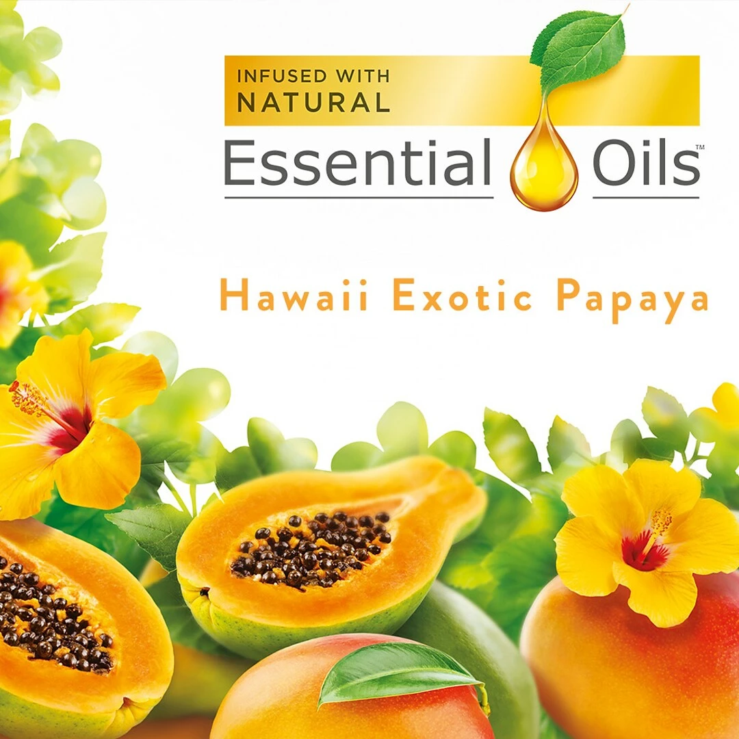 Air Wick Scented Oils, Hawaii Exotic Papaya/Hibiscus Flower, 2/Pack (6233885175) - Image 2