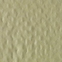 Brawny® Professional Disposable Dusting Cloth By GP PRO, Yellow, 50/Pack (29616) -Febreze shop unnamed file 1437
