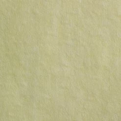 GP PRO Brawny® Professional Disposable Dusting Cloth, 24” X 24”, Yellow, 200/BX (29624) 15 GP PRO Brawny® Professional Disposable Dusting Cloth, 24” X 24”, Yellow, 200/BX (29624) -Febreze shop unnamed file 2380