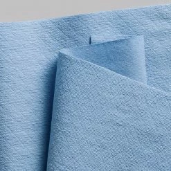 WypAll L40 Nylon Wipers, Blue, 56 Wipers/Pack, 12 Packs/Carton (05776) -Febreze shop unnamed file 2594